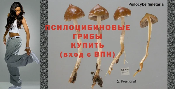 кокс Баксан