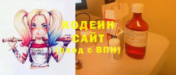 шишки Балахна