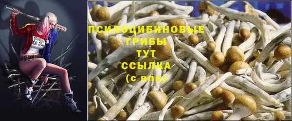 шишки Балахна