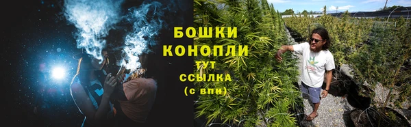 шишки Балахна
