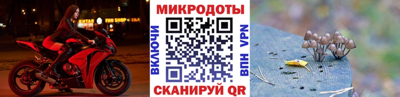 omg сайт  Котельнич  маркетплейс формула  Псилоцибиновые грибы GOLDEN TEACHER 